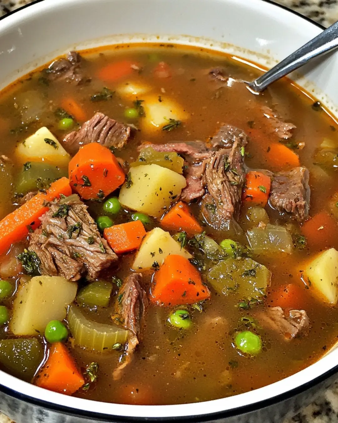 Vegetable Beef Soup